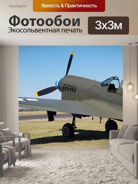 Фотообои Военная птица