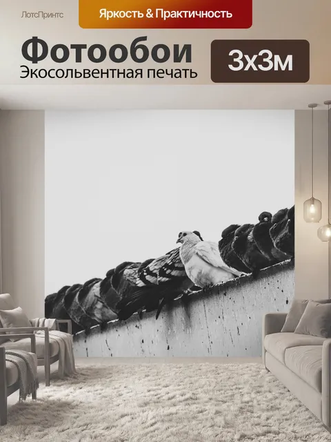 Фотообои Голуби