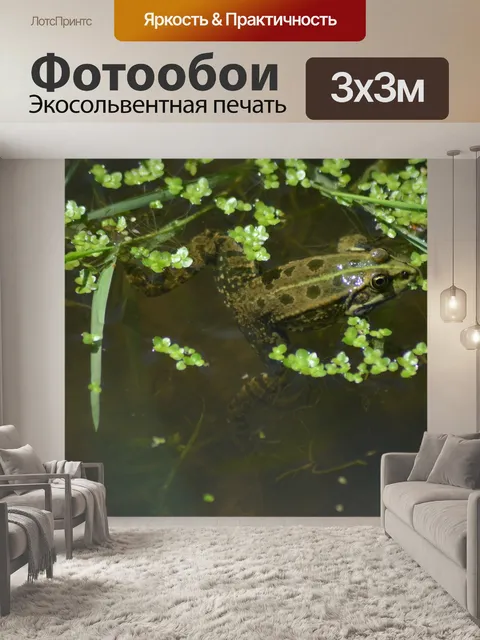 Фотообои Зеленая лягушка