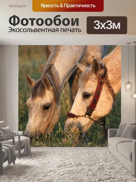 Фотообои Лошади