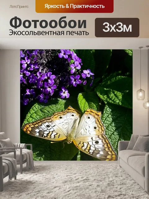 Фотообои Бакейская бабочка на зеленом листе