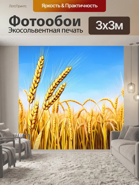 Фотообои поле с высокими золотистыми колосками пшеницы, колышущимися на ветру под ярким голубым небом