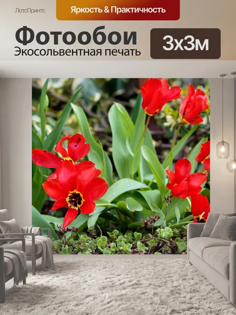 Фотообои Красный Весенние цветы