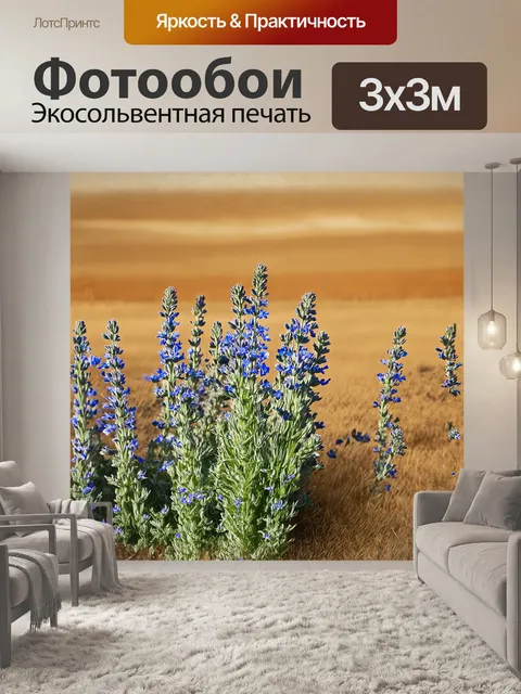 Фотообои луговой шалфей представлен как символ свободы и дикой природы