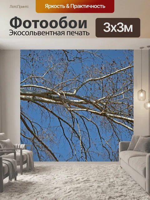 Фотообои зимой ветка ветви дерева