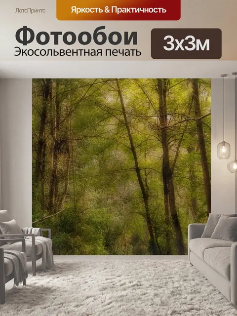 Фотообои Лес