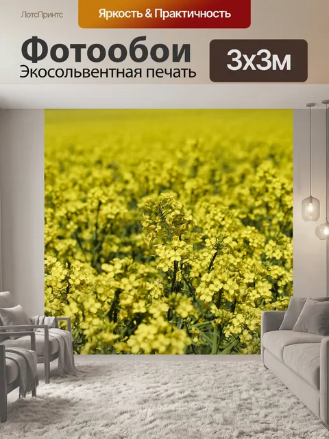 Фотообои Поле рапса