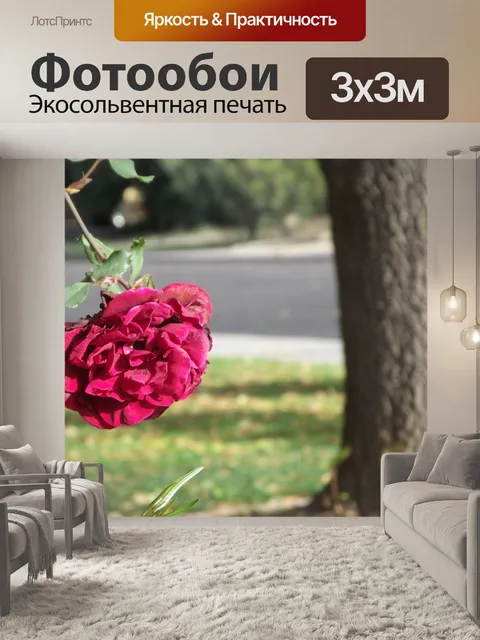 Фотообои красная роза с ствол дерева