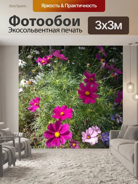 Фотообои Космос