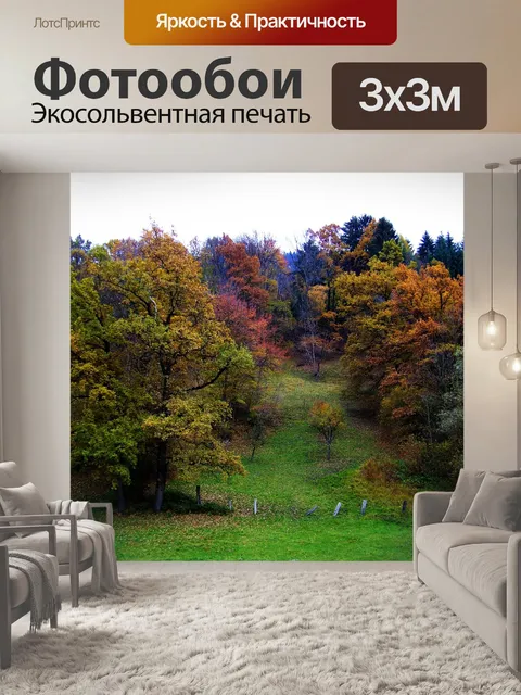 Фотообои Осень
