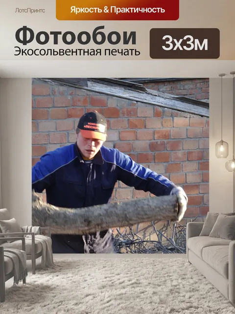 Фотообои Спил