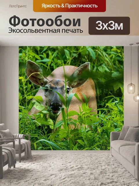 Фотообои Белый хвост оленя
