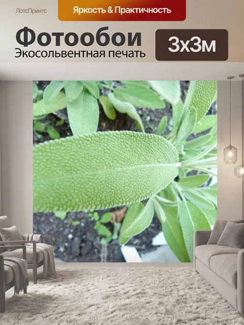 Фотообои Мудрец