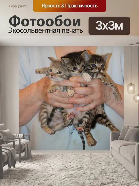Фотообои Котята