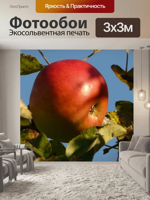 Фотообои Яблоко
