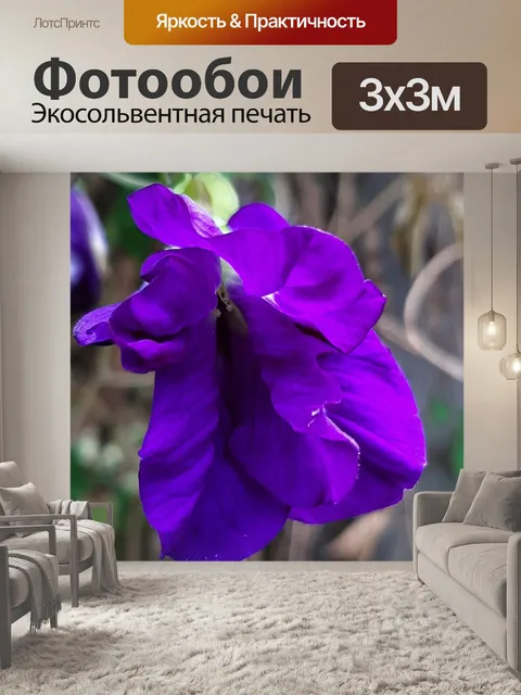 Фотообои Цветок