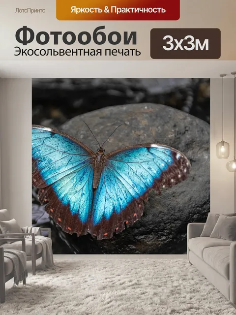 Фотообои Бабочка Морфо