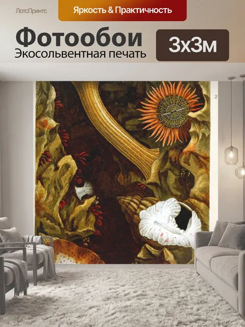 Фотообои Коралловые анемоны океанского рифа