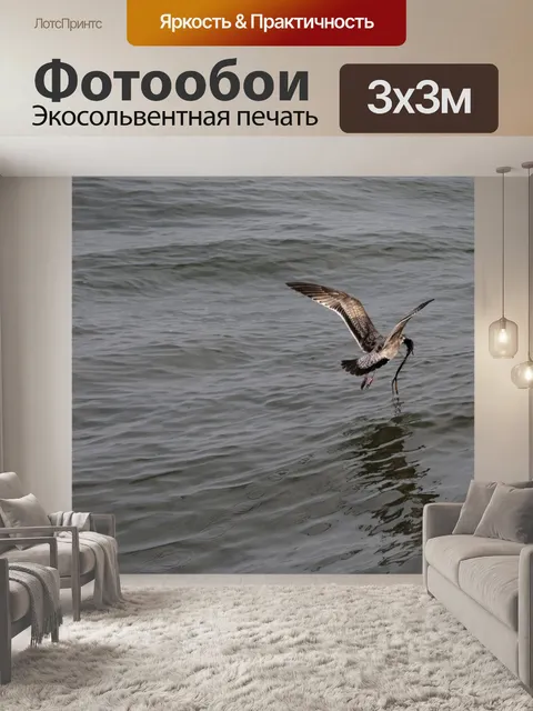 Фотообои Молодая чайка, летящая над океаном