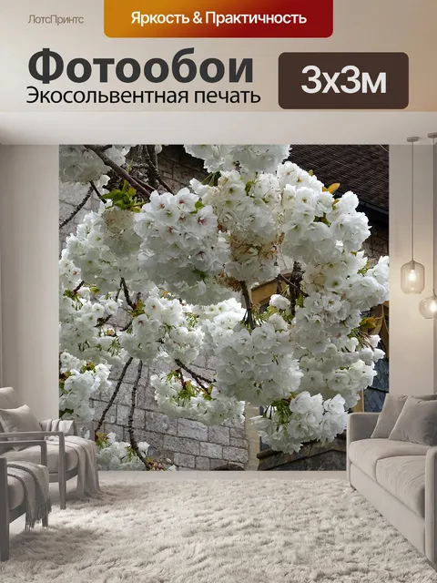 Фотообои Белое цветущее вишневое дерево