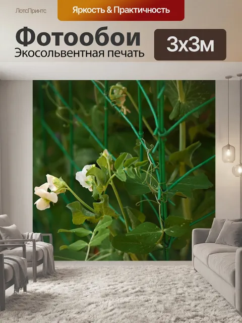 Фотообои зеленый горошек в зеленом заборе