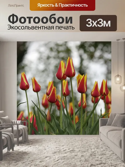 Фотообои Тюльпаны ботанические
