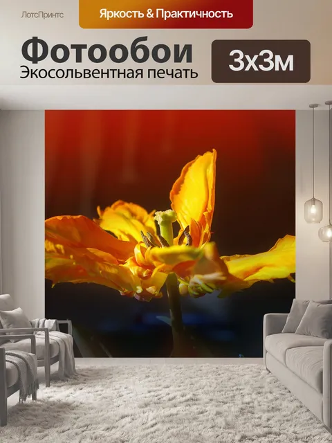 Фотообои Цветок