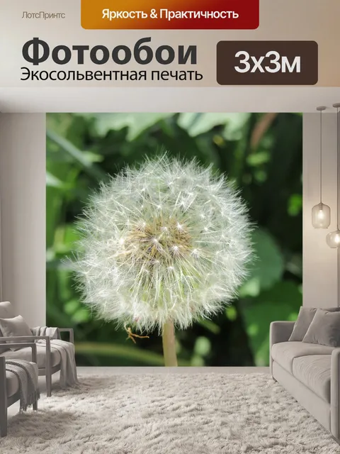 Фотообои Одуванчик
