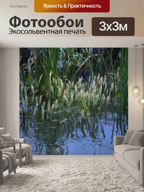 Фотообои болотный