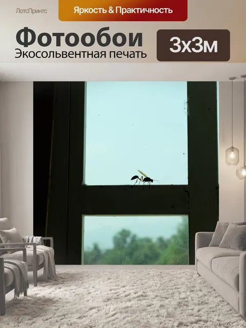 Фотообои Насекомое