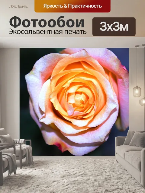 Фотообои Розы