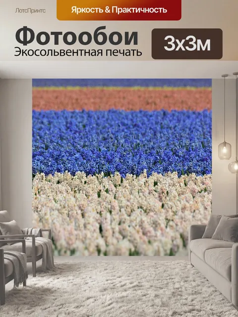 Фотообои Гиацинт