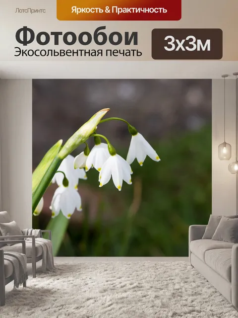 Фотообои Подснежники