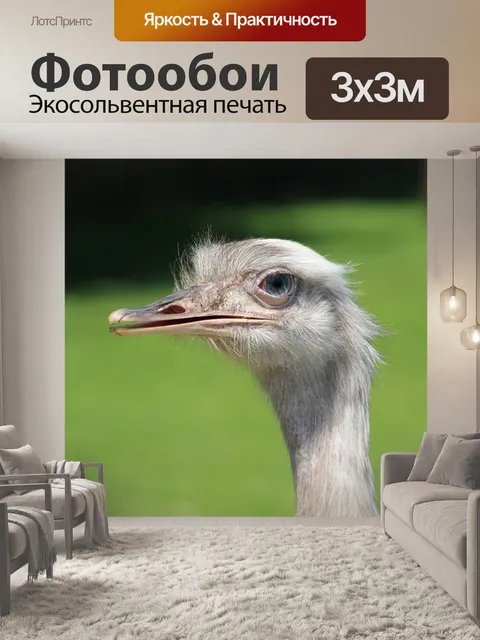 Фотообои Страус