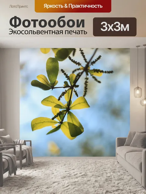 Фотообои Листья