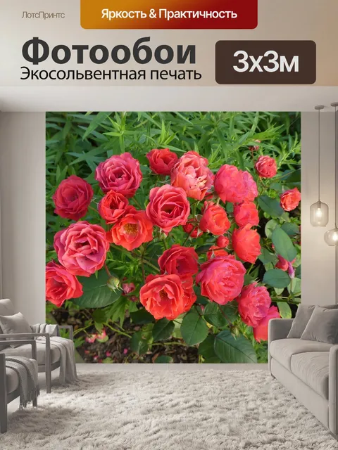 Фотообои Красные розы