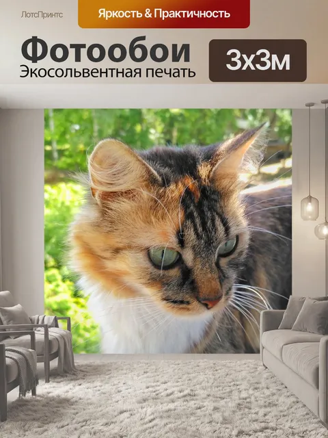 Фотообои Кошка