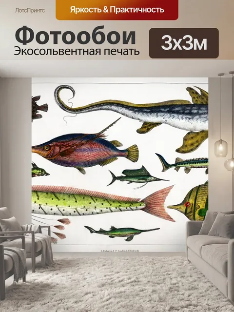 Фотообои Рыба старинные иллюстрации старые