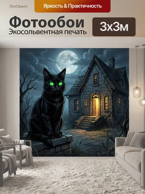 Фотообои Черный кот у старого дома