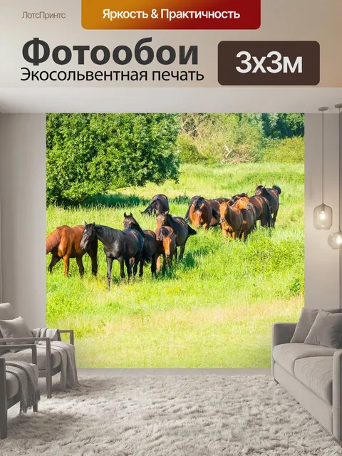 Фотообои Лошади