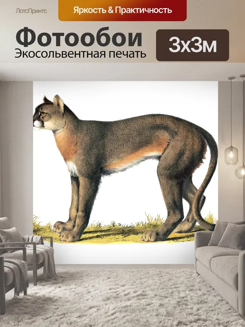 Фотообои Пума Винтажное Искусство