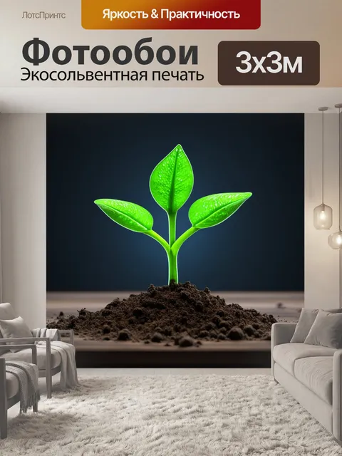 Фотообои эволюция программирования