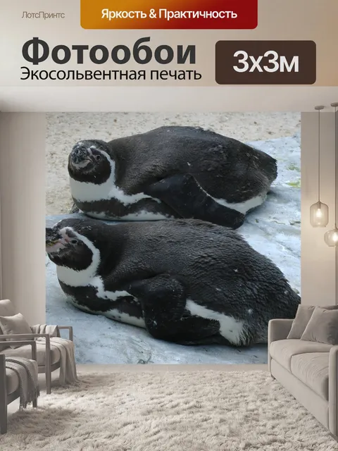 Фотообои Расслабляющая Пингвины