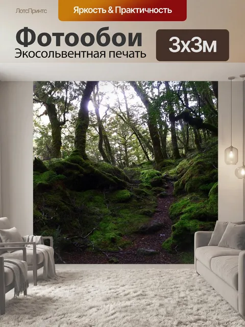 Фотообои Сказочный лес