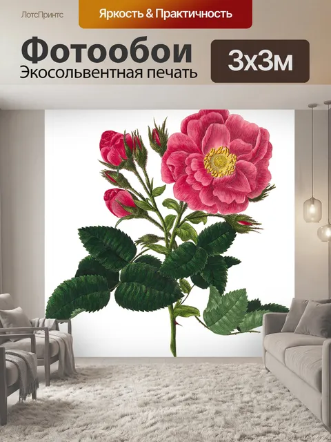 Фотообои Розовый