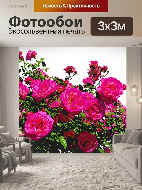 Фотообои Розы