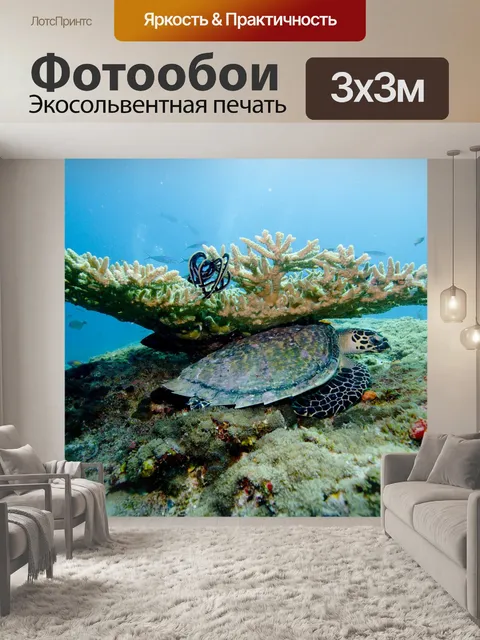 Фотообои Коралл