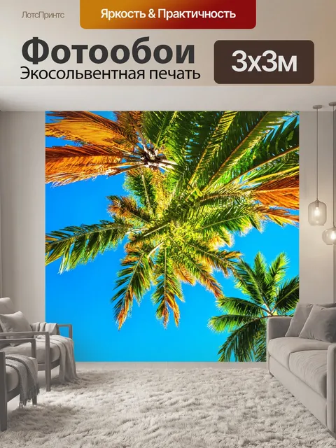 Фотообои природа в стиле модерн с высокими пальмами и ярким небом