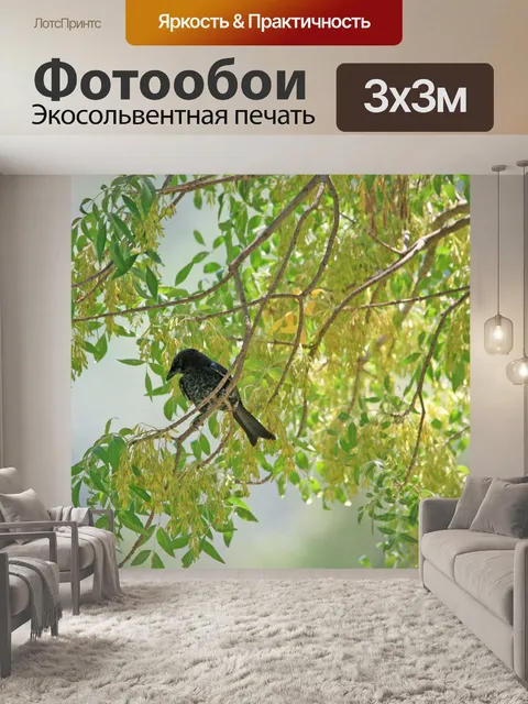 Фотообои темная птица в дереве