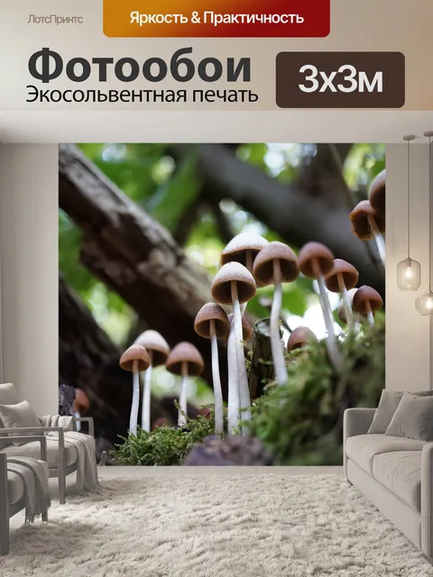 Фотообои Гриб